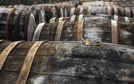 open air picture of oak casks with madeira wine while maderization on sorariumの写真素材
