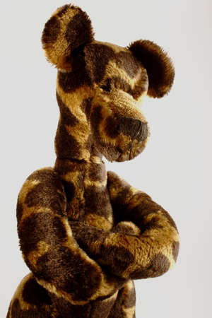 Toy dog with folded arms standing and waitingの写真素材