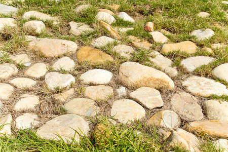 grass growing between white and brown stones