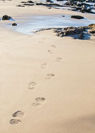 footprints on the beach at low tide and  late in the afternoon sunの写真素材