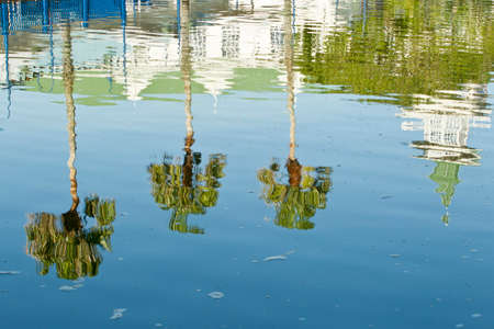 palm trees and building reflection in a large body of water in bright sunlightの写真素材