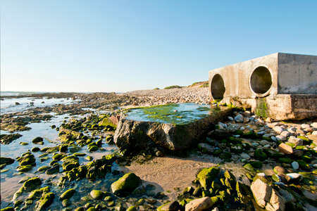 Moss growing from dirty water flowing into the seaの写真素材