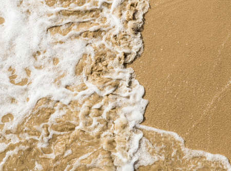 gentle breaking wave on a very sandy beach early in the morning