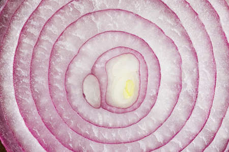 Circular rings of a red onion with a yellow centre used as a background or headerの写真素材