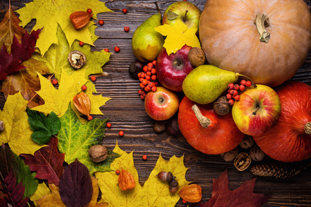 autumn still life, harvested pumpkins with fall leaves and autumn fruit, gifts of autumn, wooden background, walnuts, maple leaves - autumn composition from top.の写真素材