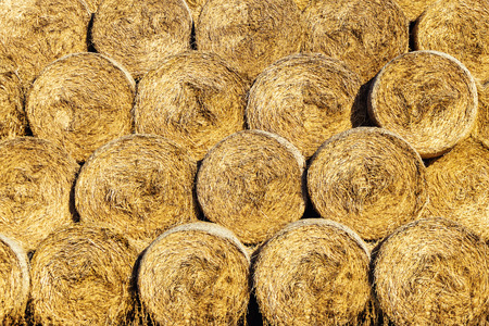 Rolls of haystacks on the field. Summer farm scenery with haystack on the Background of beautiful...