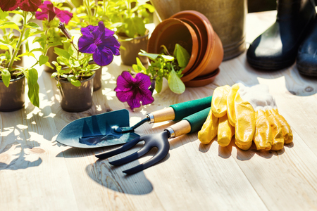 Gardening tools and flowers on the terrace in the garden. Watering can, rubber boots, garden tools, flowers, vases, pots, rubber gloves. Gardening composition.の写真素材