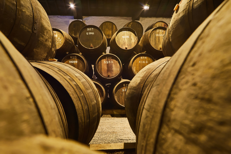 Old aged traditional wooden barrels with wine in a vault lined up in cool and dark cellar in Italy,...