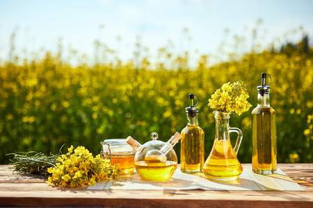 Rapeseed oil bottles (canola) on background rape fieldの写真素材
