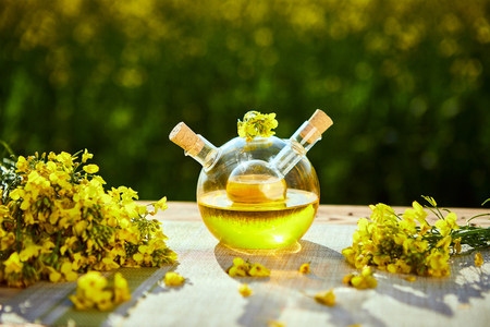 Rapeseed oil bottles (canola) on background rape fieldの写真素材