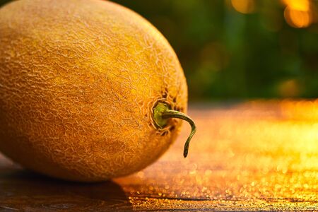 Fresh ripe melon on wooden table with blurred garden sunset background. Food, Fruits or healthcare concept.の写真素材