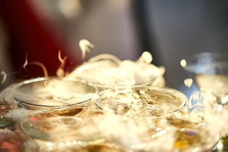 martini glasses in the form of a cascade or pyramid lit light at the wedding partyの写真素材