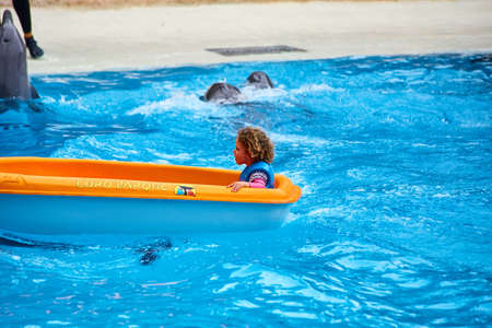 PUERTO DE LA CRUZ, TENERIFE - MAY 13, 2018: Dolphin show in the Loro Park (Parque) is one of the biggest attractions of the Canary Islands, with over 40 million visitorsのeditorial素材