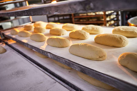 Raw dough bread on a oven-tray before baking in an oven at the manufacturing
