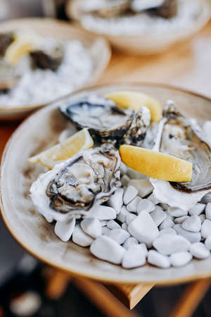 Fresh open oysters on a plate served with lemonの写真素材