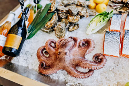 Fresh Octopus and piece of salmon lies on ice in the fish shop. Octopus for sale.の写真素材