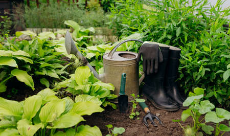 Garden tools and flowers in the garden, such as watering can, rubber boots, gloves.