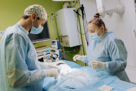 Vinnitsa, Ukraine - November 29, 2021: Veterinary surgeons make surgery for dog in the operating room of a veterinary clinic. Medicine, pet, animals, health care and people concept.のeditorial素材