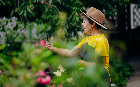 Senior woman gardener in a hat working in her yard and speaks on the phone. The concept of gardening, growing and caring for flowers and plants.の写真素材