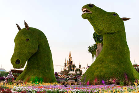 DUBAI, UNITED ARAB EMIRATES - NOVEMBER 09, 2021: Dubai miracle garden in a sunny day , United Arab...