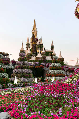 DUBAI, UNITED ARAB EMIRATES - NOVEMBER 09, 2021: Dubai miracle garden in a sunny day , United Arab Emirates, Middle Eastのeditorial素材