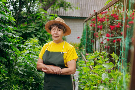 Portrait of a gardener woman working in her yard. The concept of gardening, growing and caring for flowers and plants.の写真素材