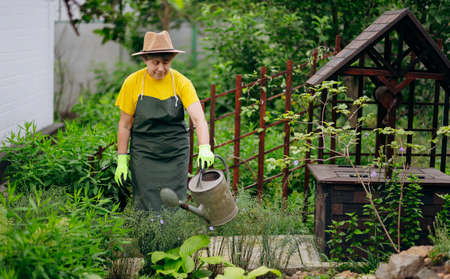 Portrait of a gardener woman working in her yard. The concept of gardening, growing and caring for flowers and plants.の写真素材
