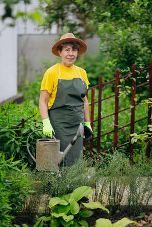 Senior woman gardener in a hat working in her yard with work tools. The concept of gardening, growing and caring for flowers and plants.の写真素材