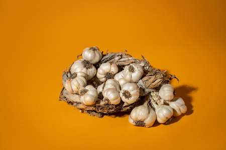 Fragrant Garlic wreath lies on yellow background. Agriculture and farmingの写真素材