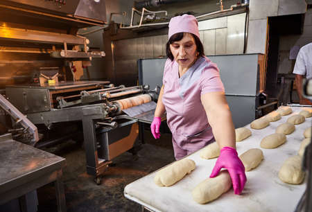The baker forms the dough for baking bread and put it into oven-tray at the manufacturing
