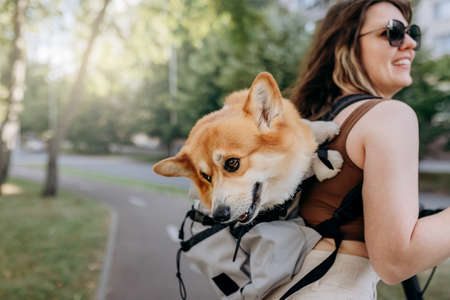 Happy smiling woman traveler is riding her electro scooter in city parkland with dog Welsh Corgi Pembroke in a special backpackの写真素材