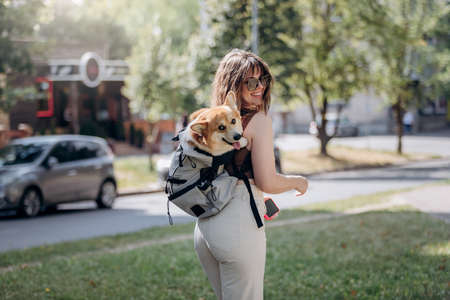Happy smiling woman walking outdoors in city parkland with dog Welsh Corgi Pembroke in a special backpackの写真素材