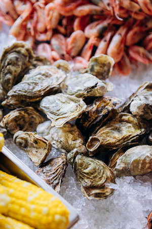 Fresh oysters on ice at a seafood market, highlighting premium shellfish for sale or culinary useの写真素材