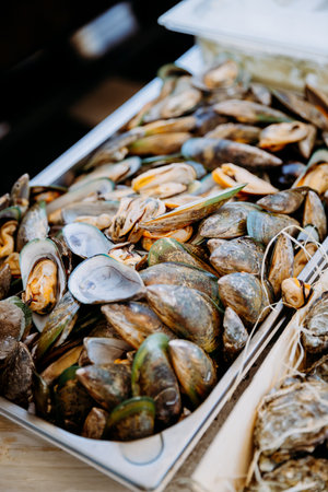 Fresh mussels on ice, a perfect seafood choice for gourmet dishes and culinary delightsの写真素材