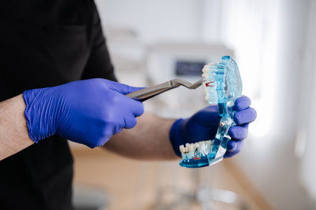Dentist demonstrating tooth extraction on a transparent jaw model for dental training purposes