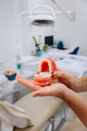 Dental model with braces showcased in a clinic for orthodontic education and oral health awareness