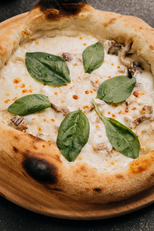 Delicious white pizza with creamy mushrooms, melted cheese, and fresh spinach leaves on wooden plateの写真素材