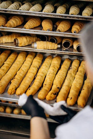Freshly baked pastry tubes and rolls on industrial trays in bakery kitchen