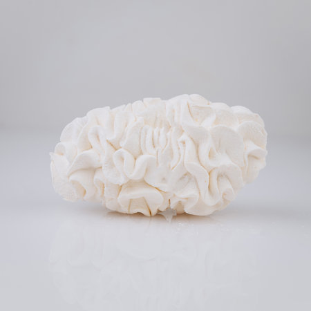 White meringue dessert with sugar powder on white background, minimal sweet conceptの写真素材