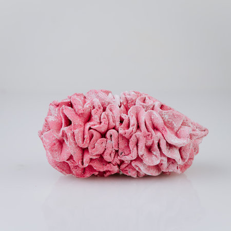 Pink marshmallow dessert with sugar powder on white background, minimal sweet concept