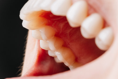 Macro view of clean molars, gums and oral cavity, dental health conceptの写真素材