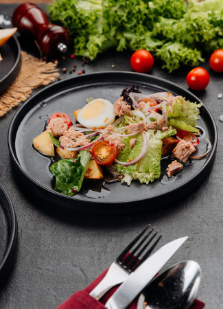 Tuna salad with egg, tomatoes and greens on black plate, restaurant lunch closeupの写真素材