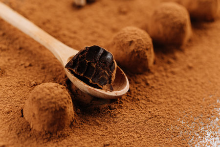 Bitten chocolate truffle on wooden spoon over cocoa powder backgroundの写真素材