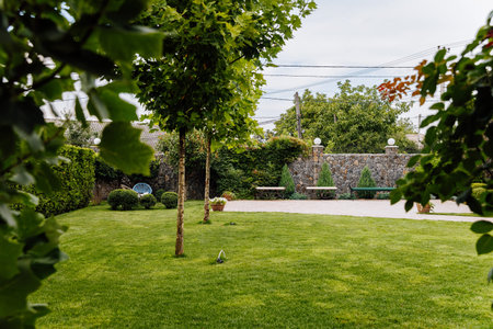 Green backyard lawn with trees, patio benches and stone fence in landscaped garden