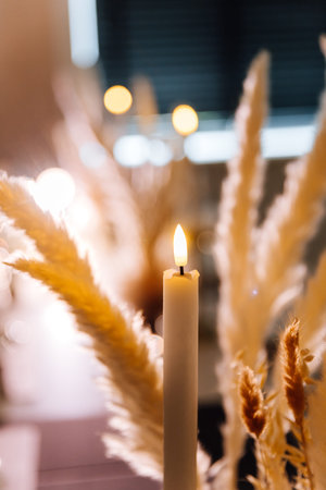 Lit candle close up with pampas grass and warm bokeh lightsの写真素材