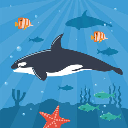 Illustration of Killer Whale Underwaterのイラスト素材