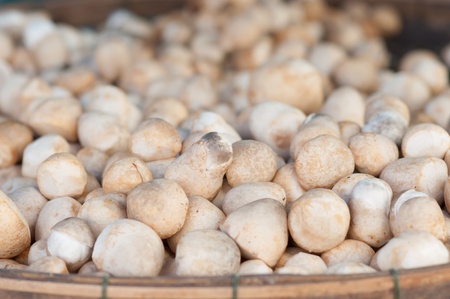 mushrooms basket for saleの写真素材