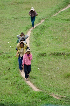 VIANGPHOUKHA, LUANGNAMTHA , LAO P D R MAY 31   Group of Unidentified Khmu ethnic children 12-15 years old carry the winter melons and smile to camera on May 31, 2013 in Viangphoukha,Luangnamtha,Lao pdrのeditorial素材
