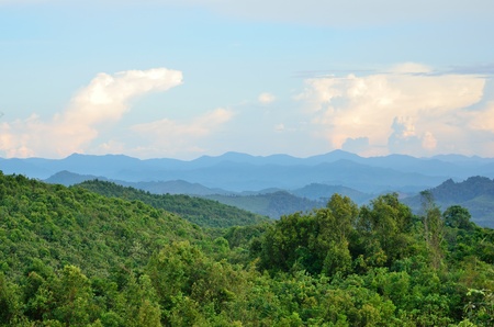 Blue sky and forest hills  Summer mountain landscape