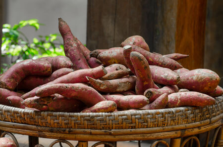 sweet potatoesの写真素材